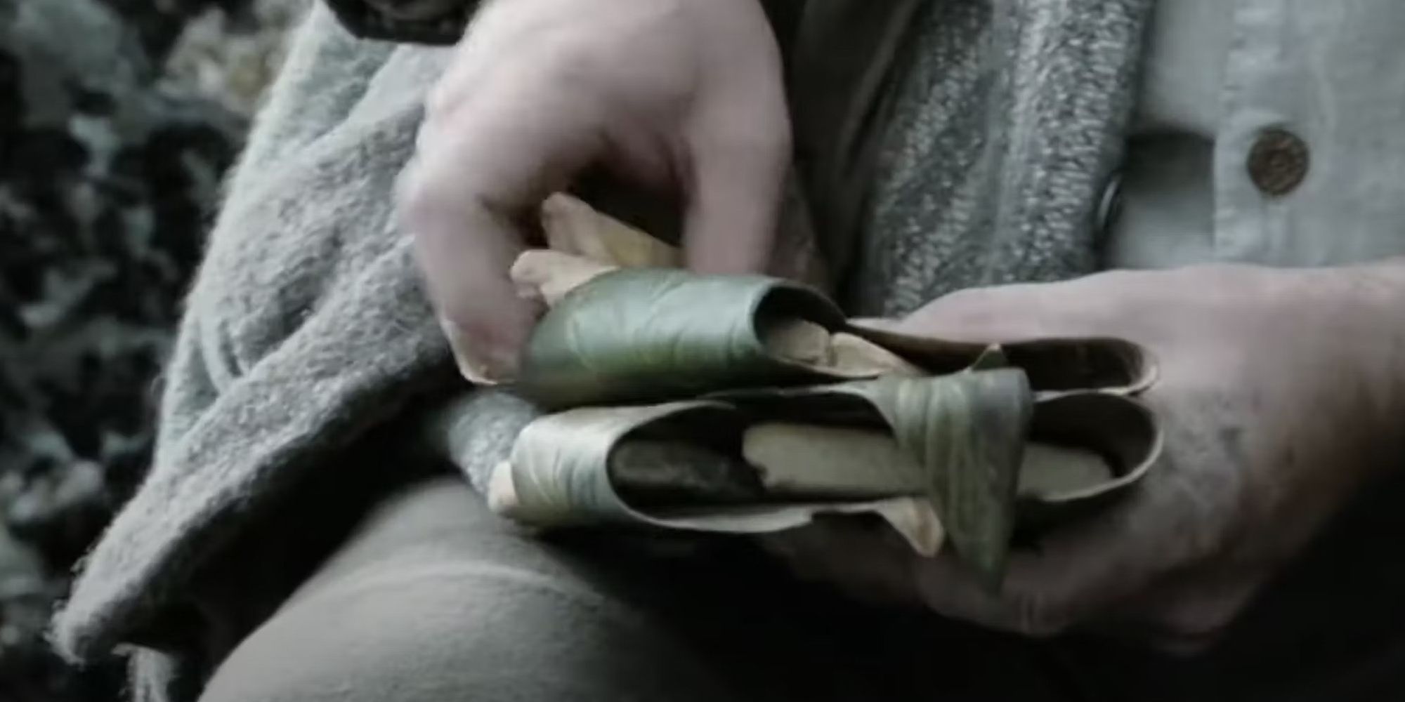 A pair of hands holding a slice of bread in The Lord of the Rings