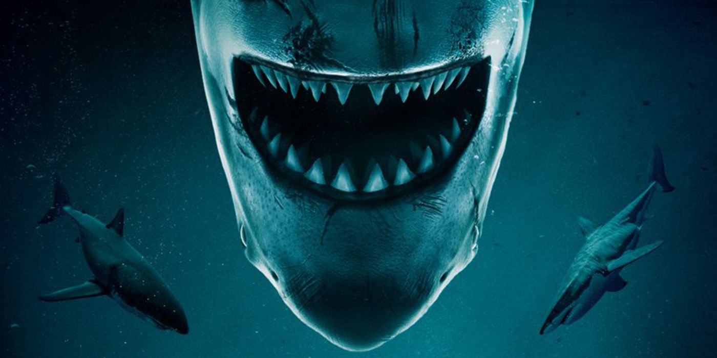 A large  shark looming above in the No Way Up poster