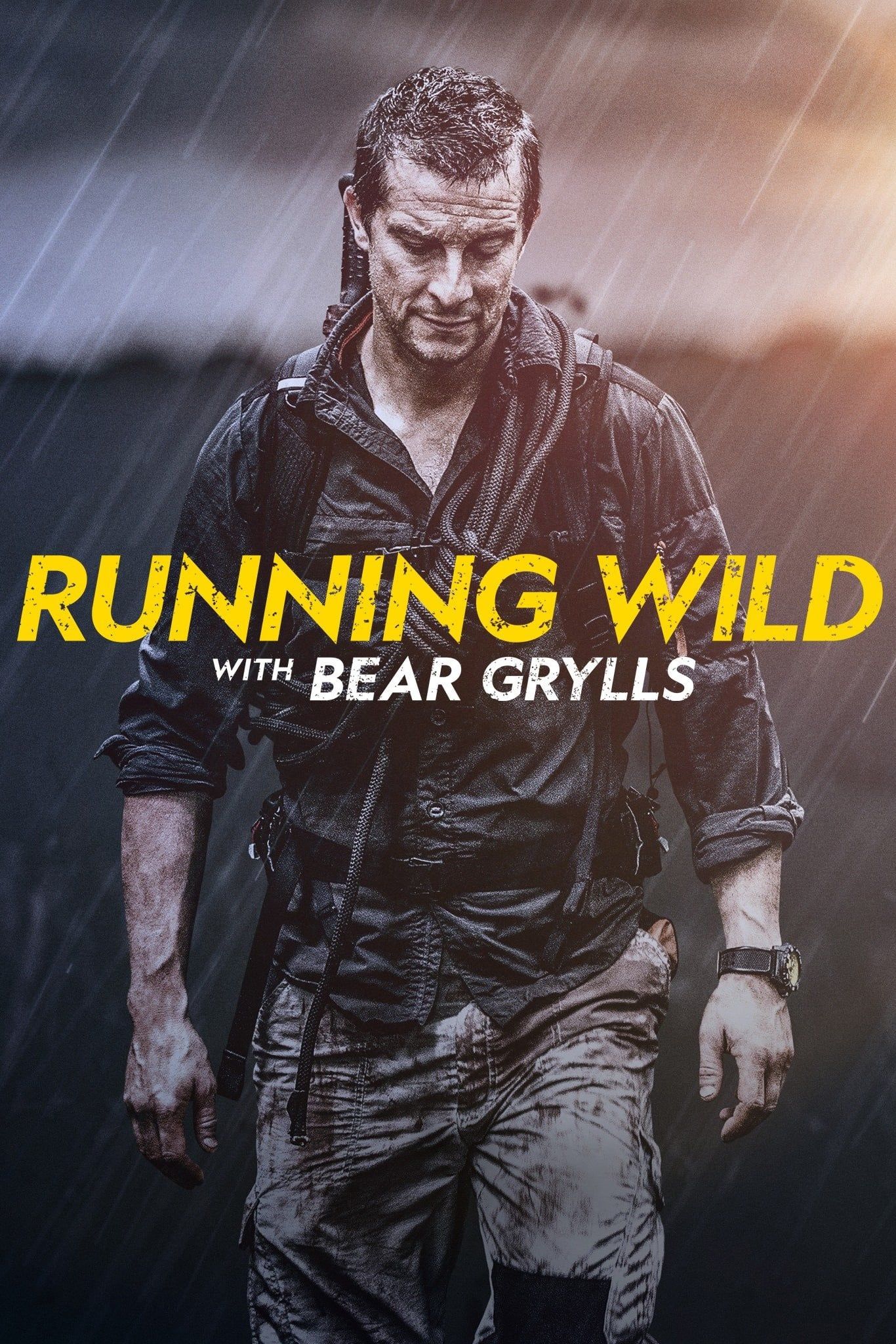 running wild with bear poster