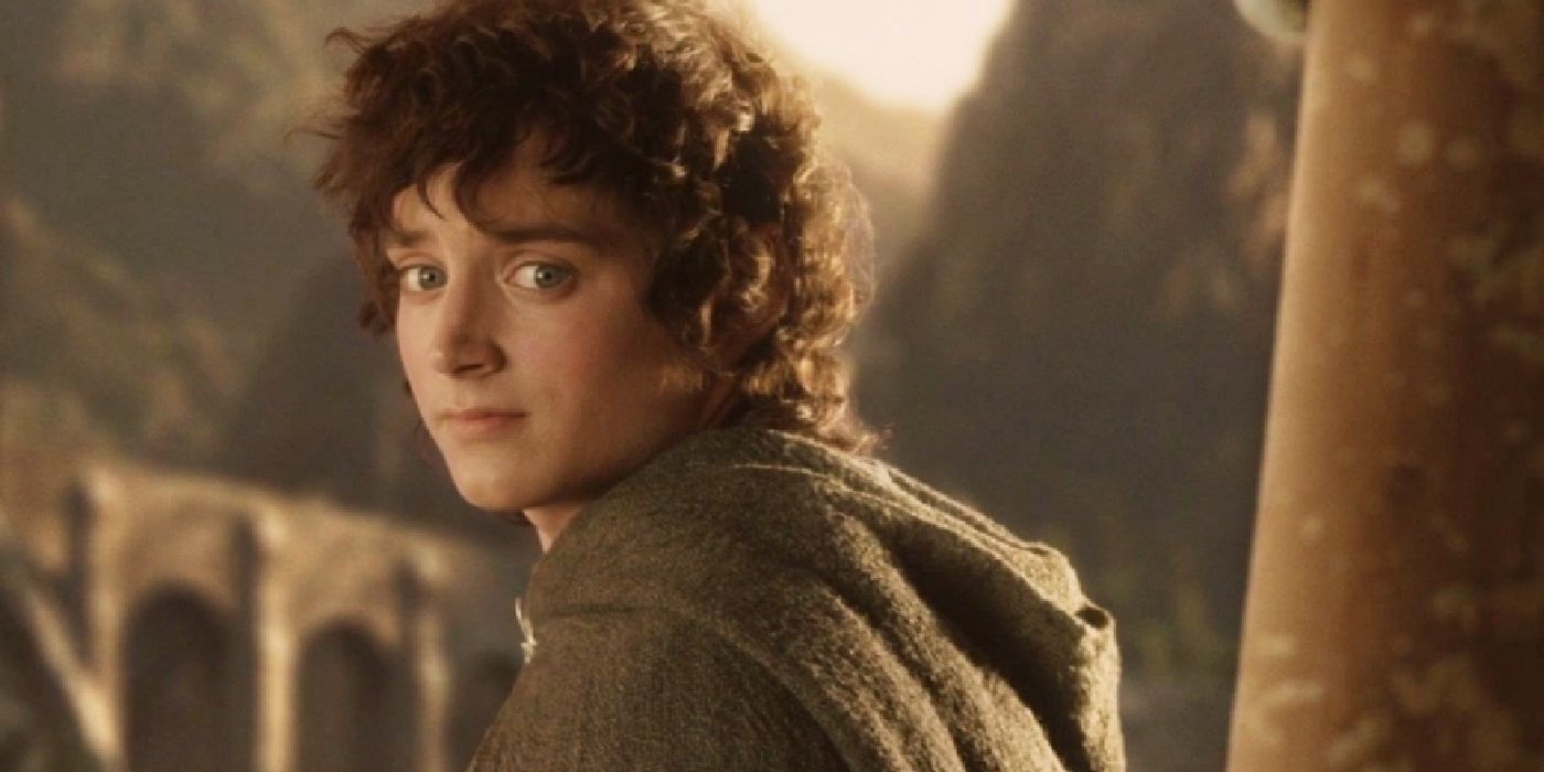 Frodo looking back with a saddened expression in The Lord of the Rings - The Return of the King
