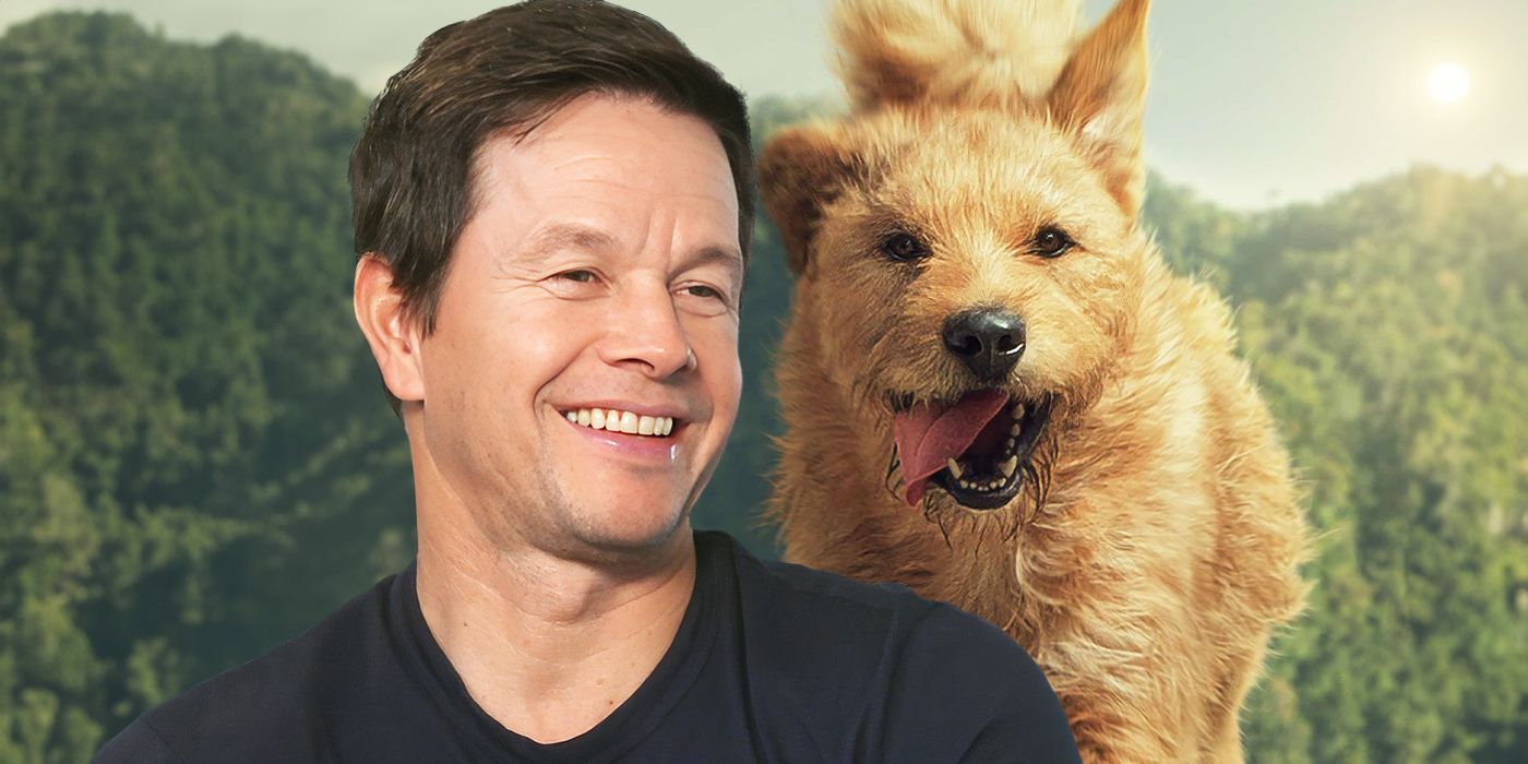 Custom image of Mark Wahlberg during an interview for Arthur the King with Ukai the dog in the background