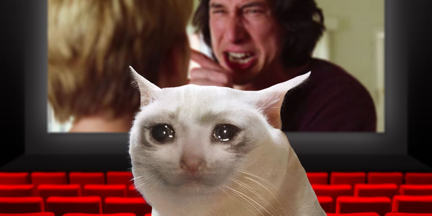 Cat meme crying in front of a still from Marriage Story