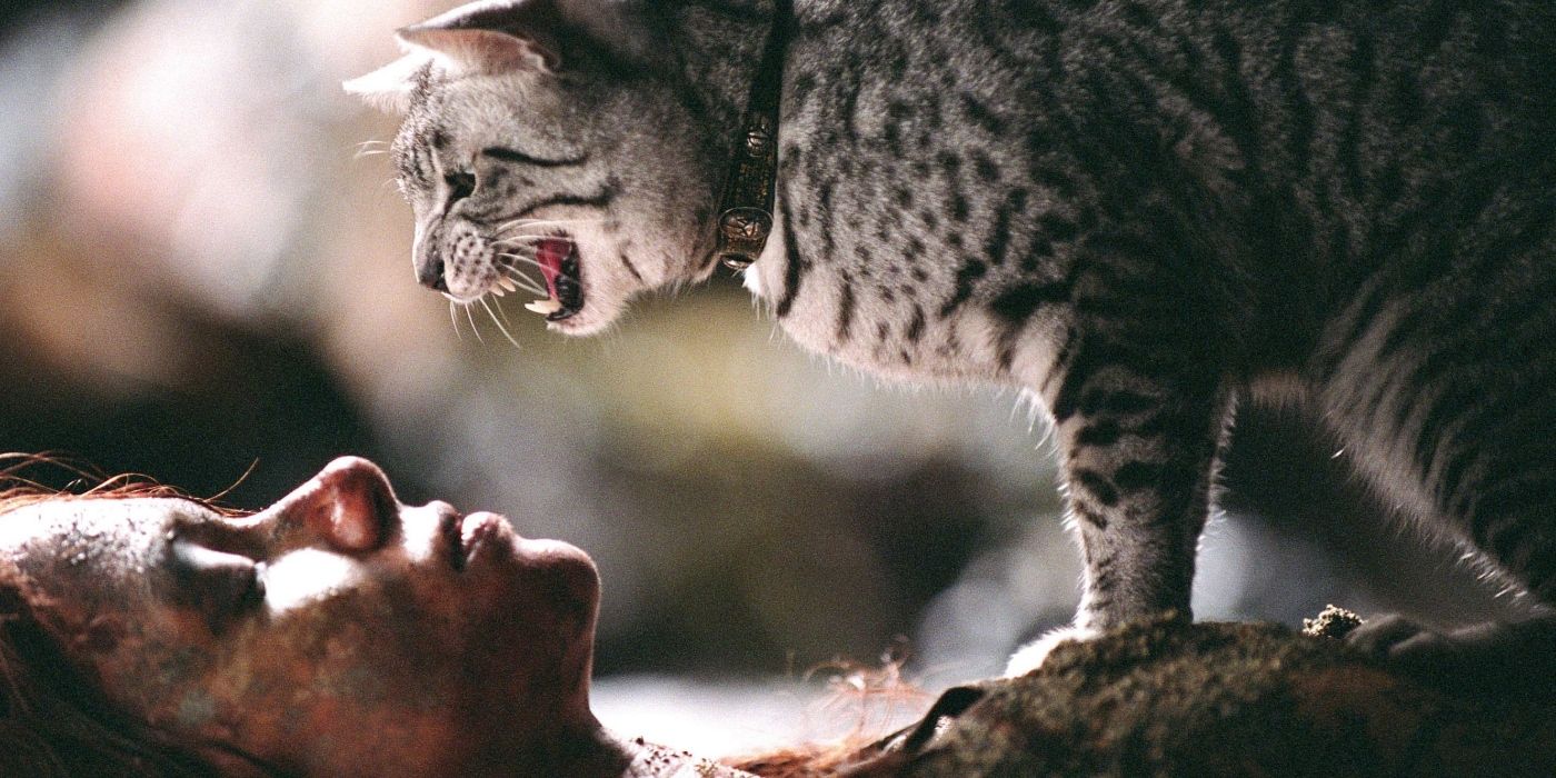 Halle Berry as Patience Phillips, laying unconscious on the ground while a cat hisses in her face in Catwoman