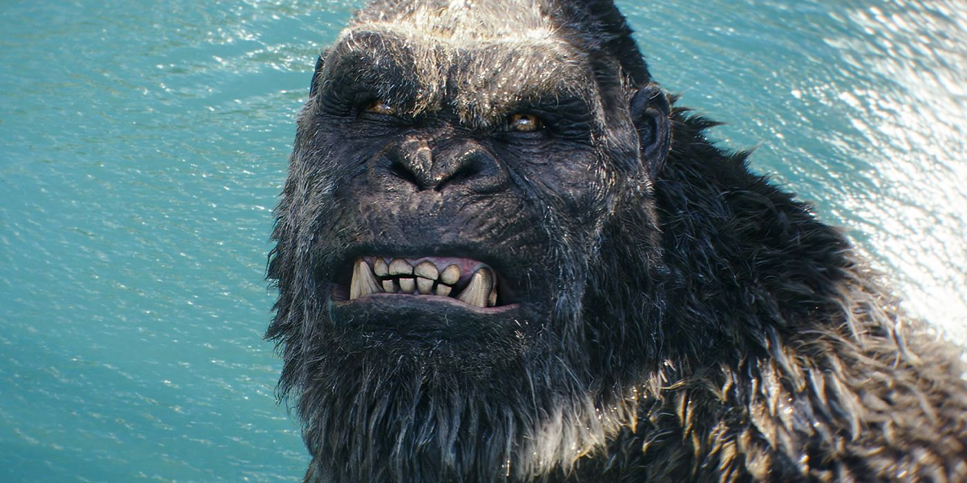 Kong bares his teeth in Godzilla x Kong: The New Empire