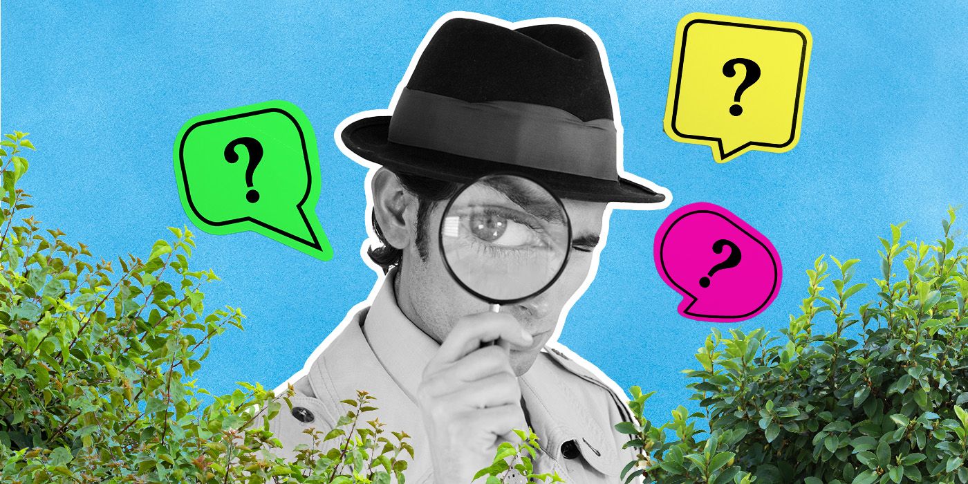 Feature image of a detective behind bushes, holding a magnifying glass up to his eye and question marks