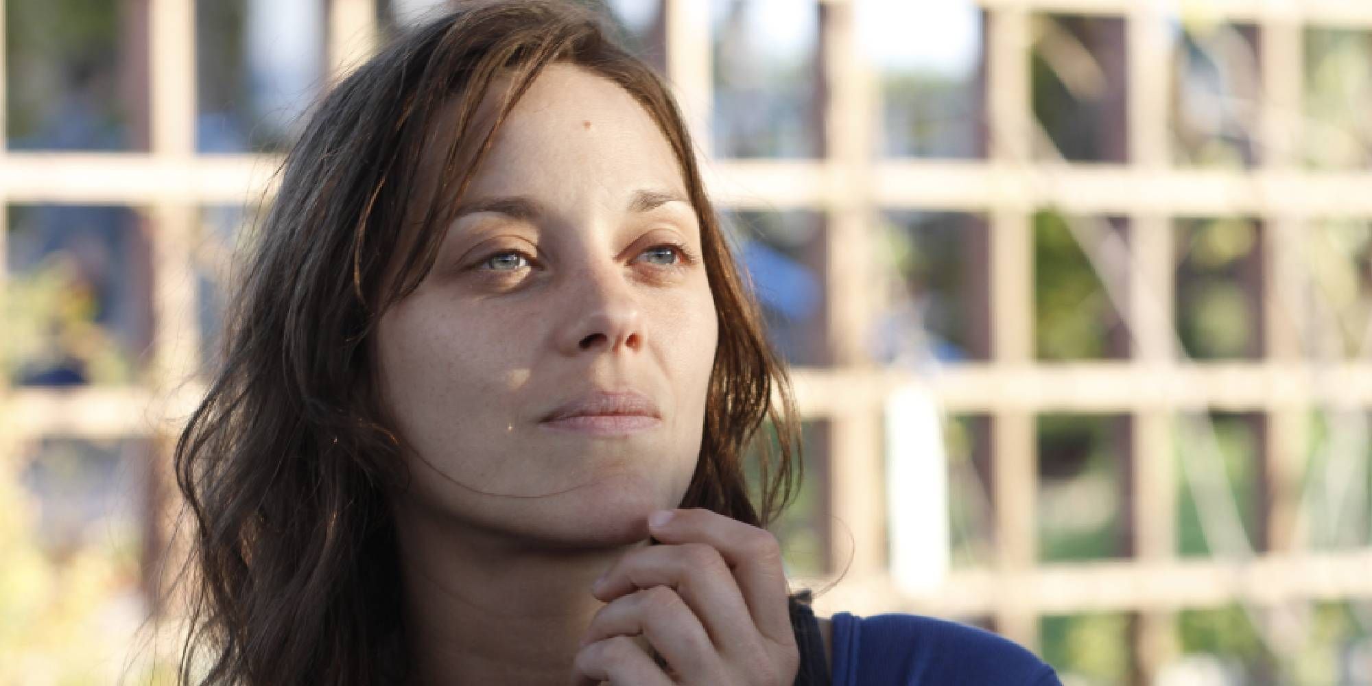 Close-up of Marion Cotillard in 'Rust and Bone'.