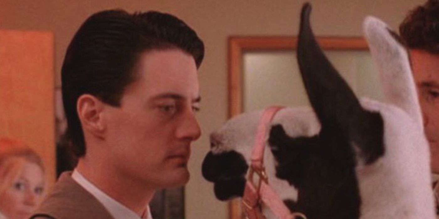 Kyle Maclachlan as Dale Cooper looking at Llama in 'Twin Peaks'