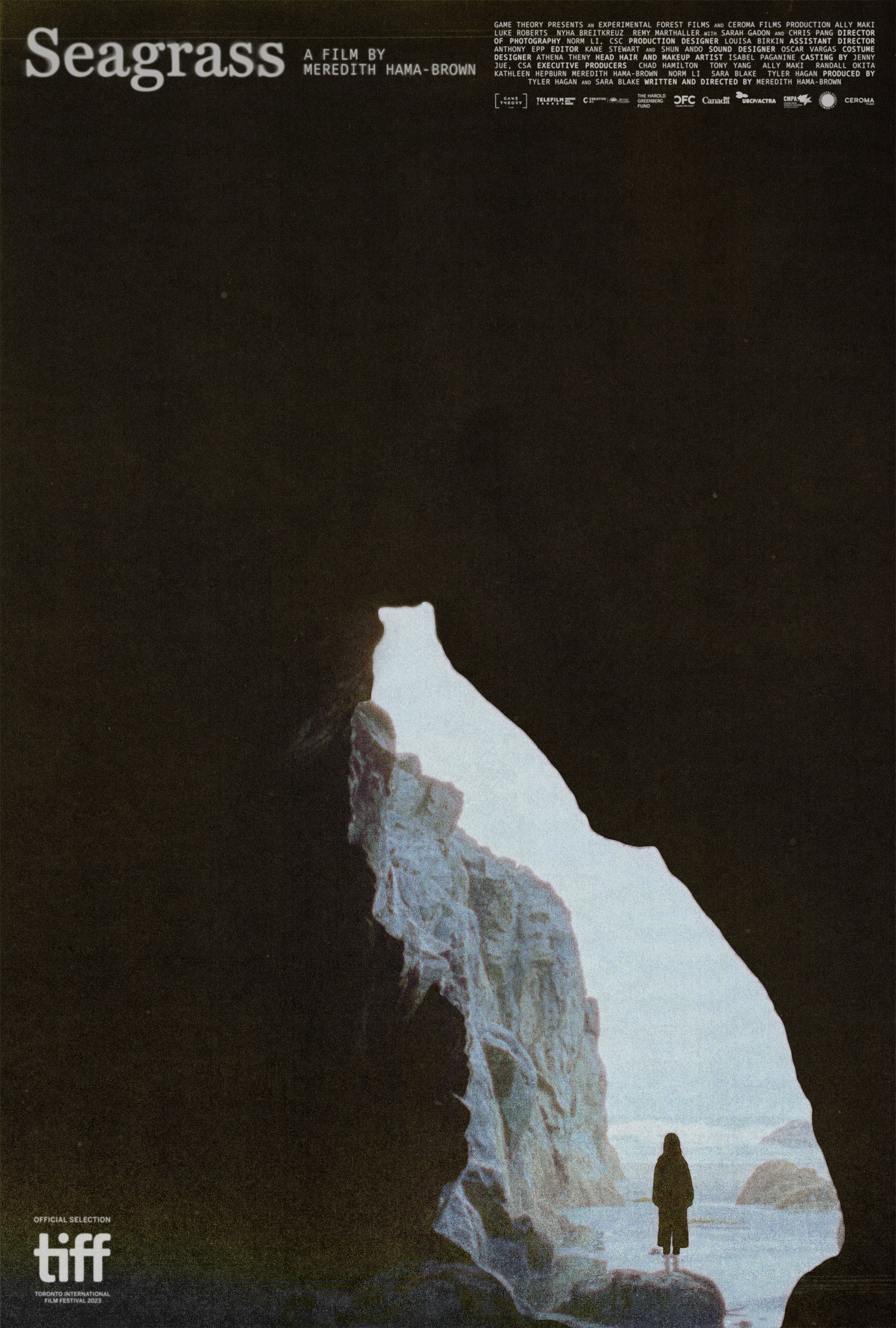 Seagrass Film Poster