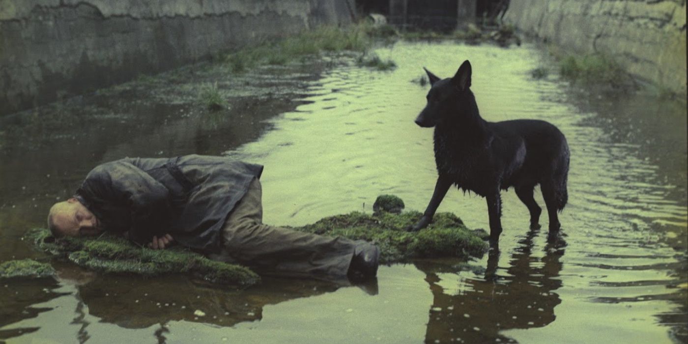 Alexander Kaidanovsky como un acosador en medio de un río con un perro