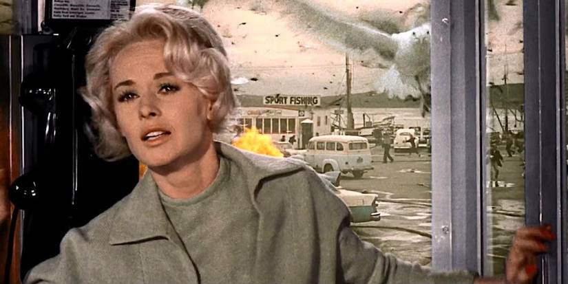 Melanie inside a phone booth while birds fly outside in The Birds.