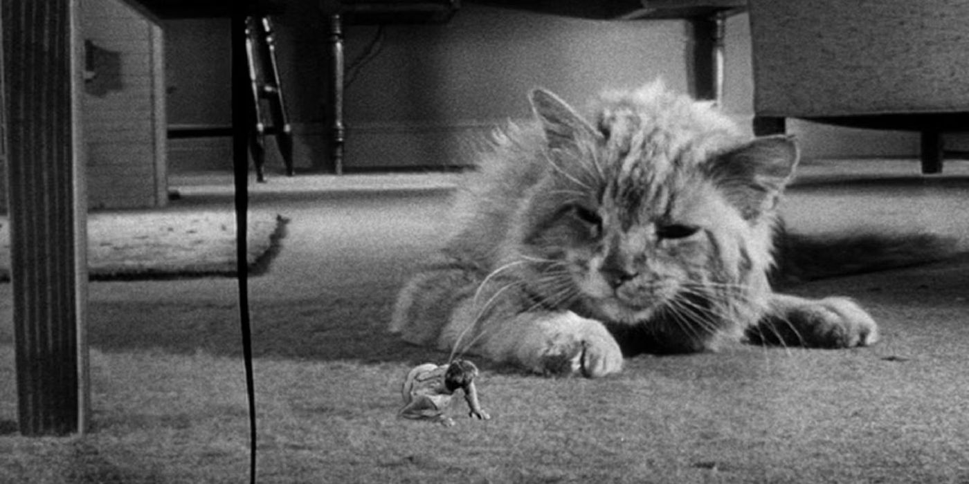 The Incredible Shrinking Man - 1957 