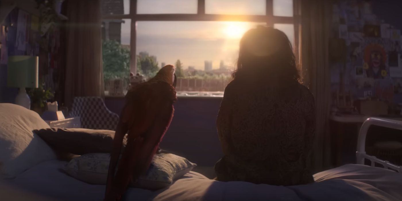 Julia Louis-Dreyfus y un loro observan el amanecer desde la ventana de su habitación el martes