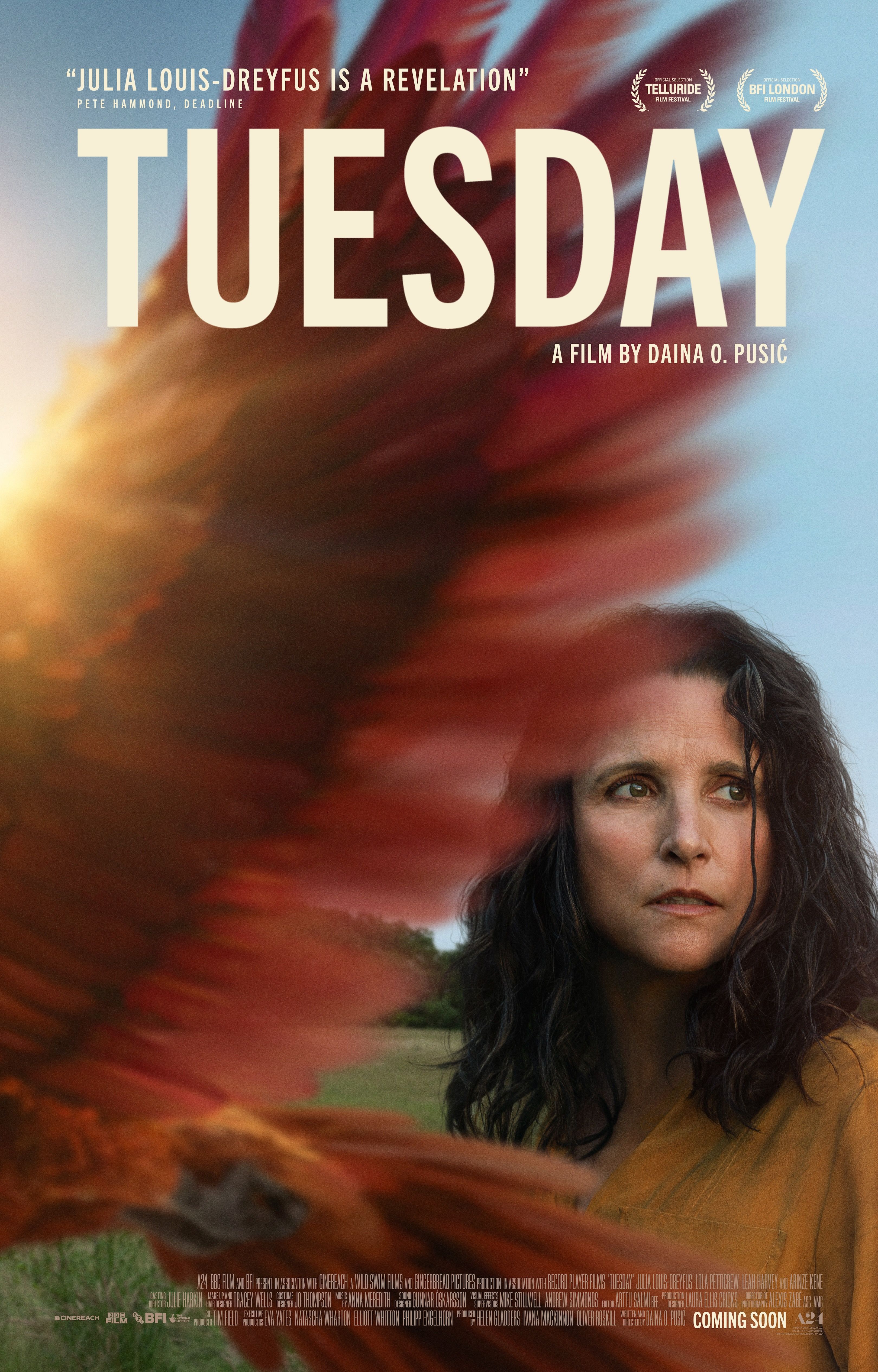 Julia Louis-Dreyfus on the poster for Tuesday