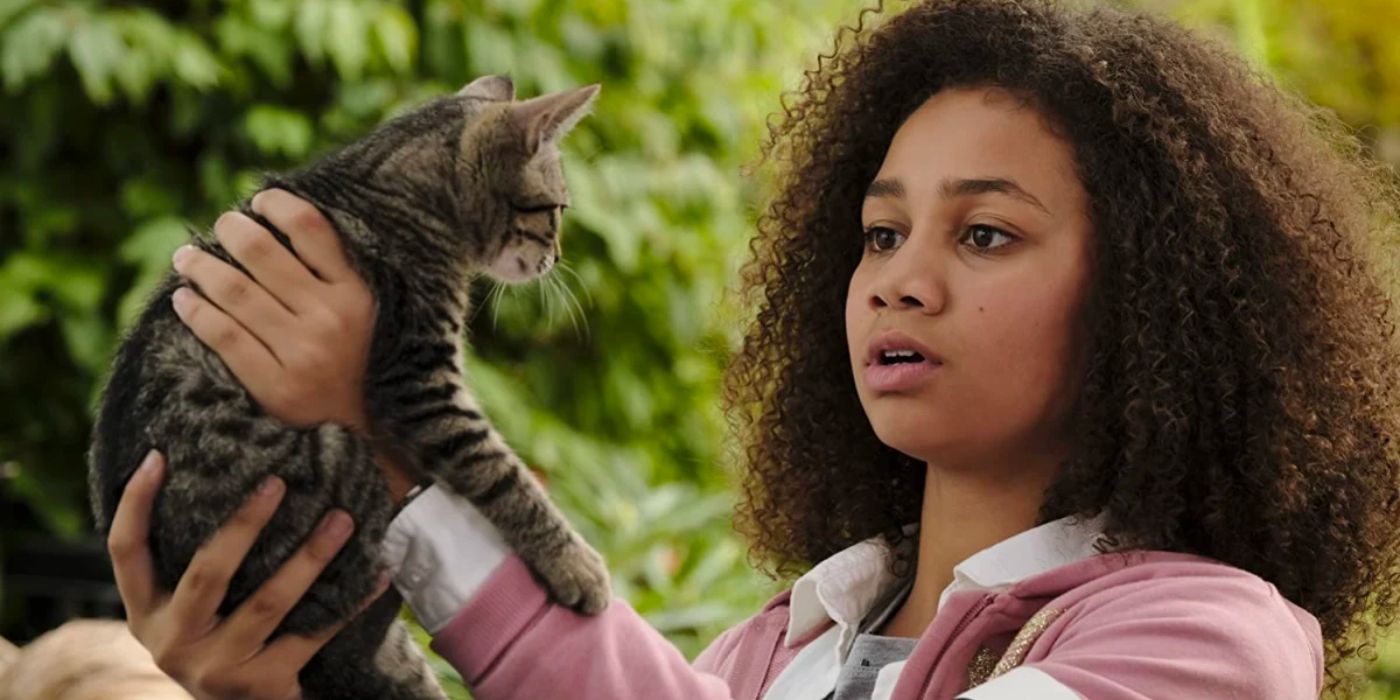 A young girl in a pink jacket holds up a cat as she looks into its eyes.