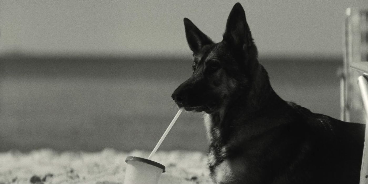 A black and white image of a dog drinking from a cup using a straw in Kinds of Kindness.