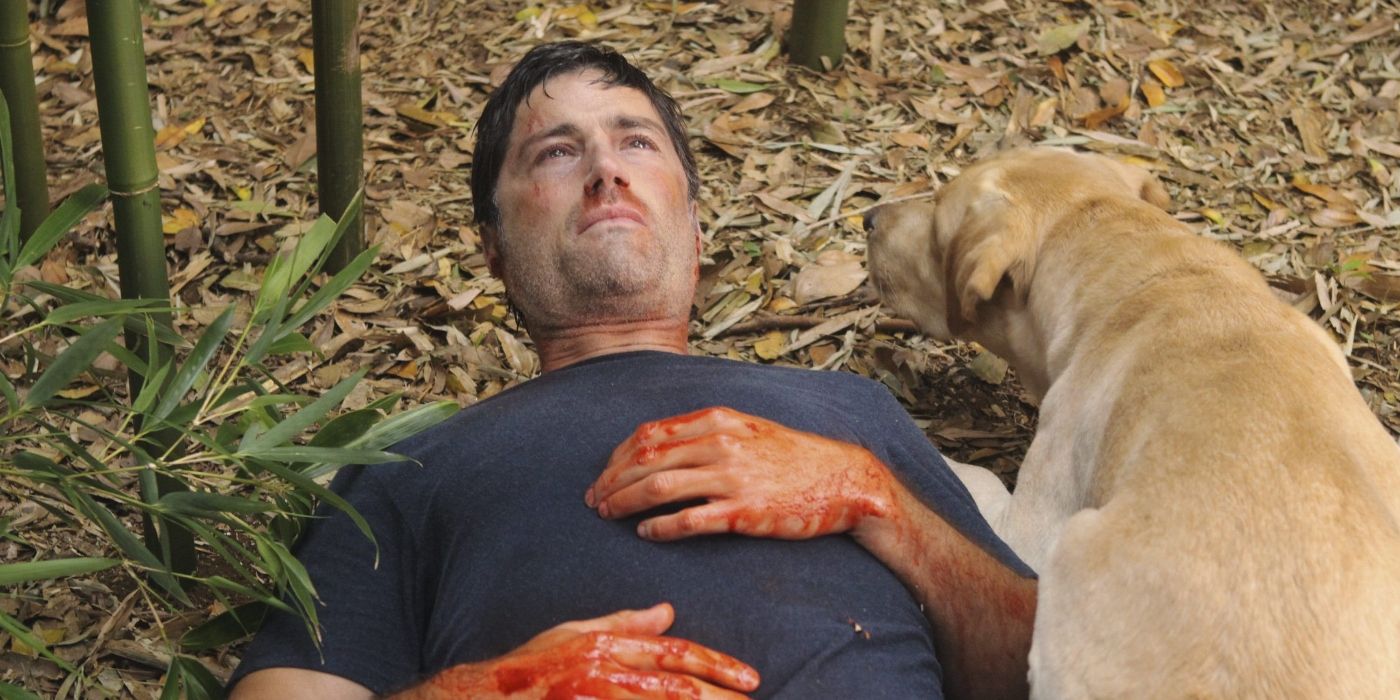 Matthew Fox as Jack Shephard, lying bloodied on the ground next to a dog in Season 6 of Lost