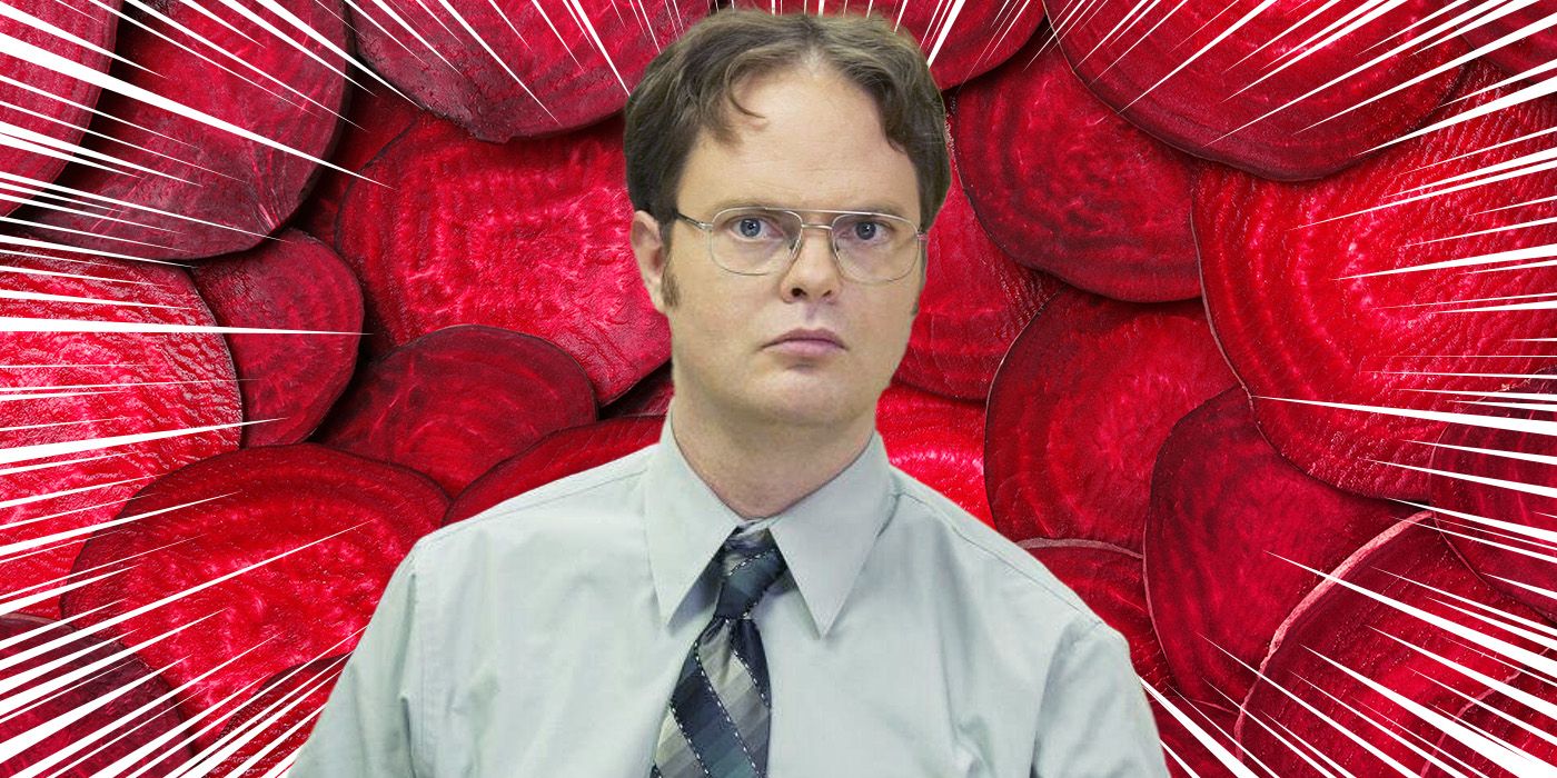 'The Office's Dwight Schrute Spin-off Could've Changed the Series Finale (1)
