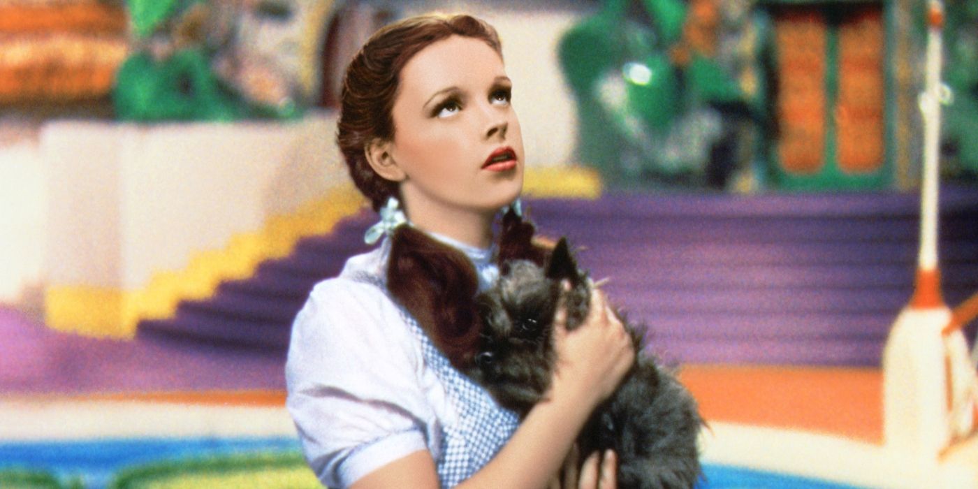 Dorothy holding Toto and looking up in The Wizard of Oz