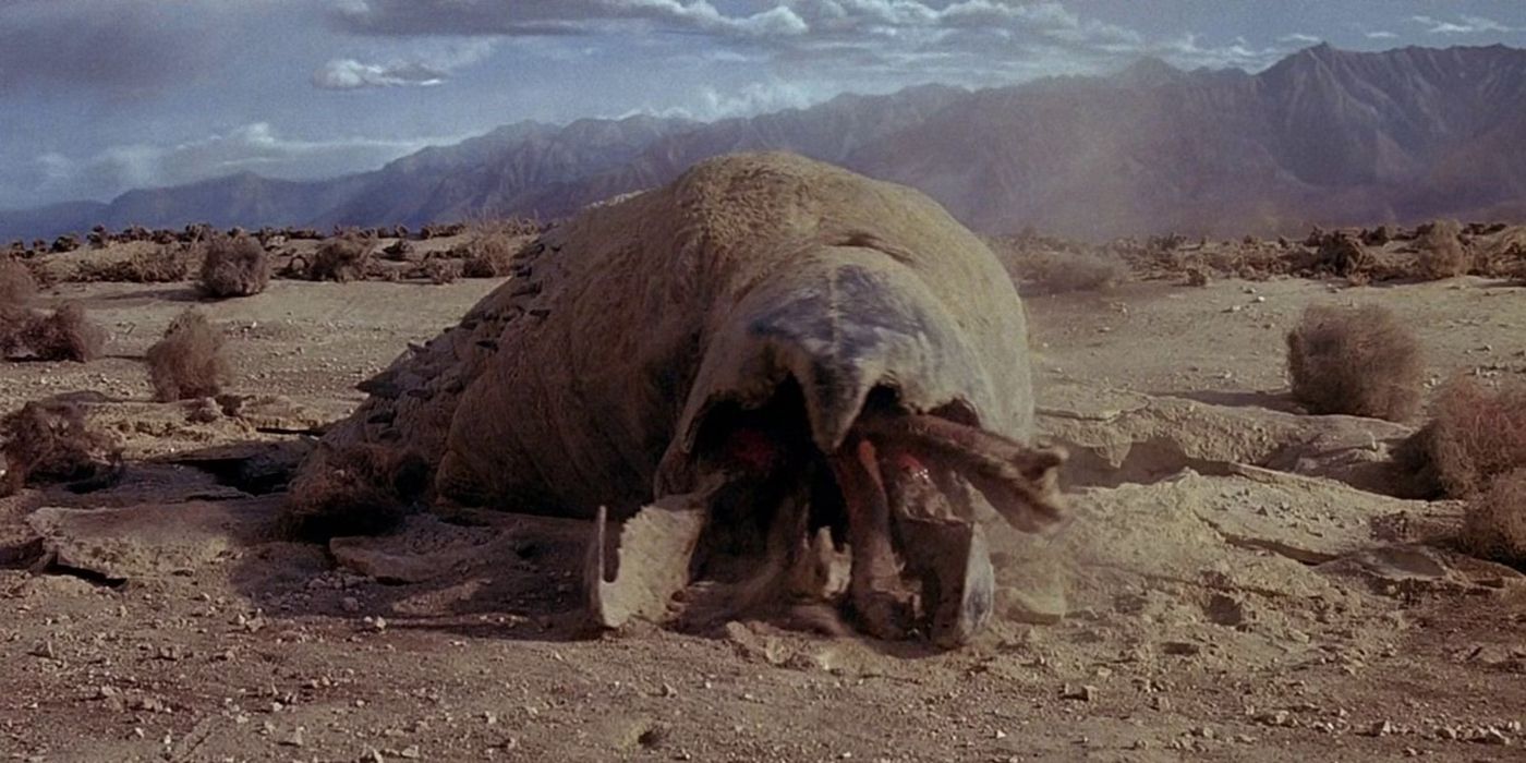 A graboid lying on the desert in Tremors (1990)