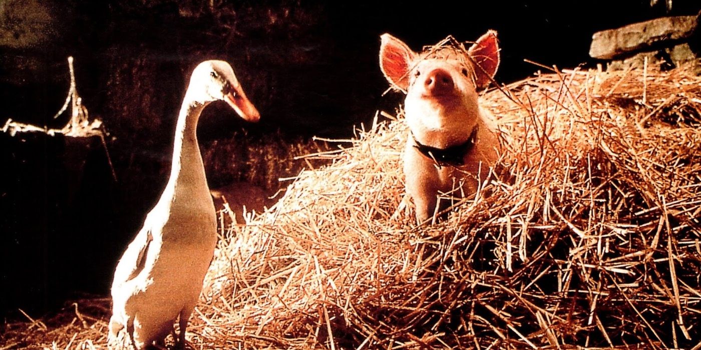 Babe (E. G. Daily) and Ferdinand (Danny Mann) standing in hay while in a barn in Babe: Pig in the City