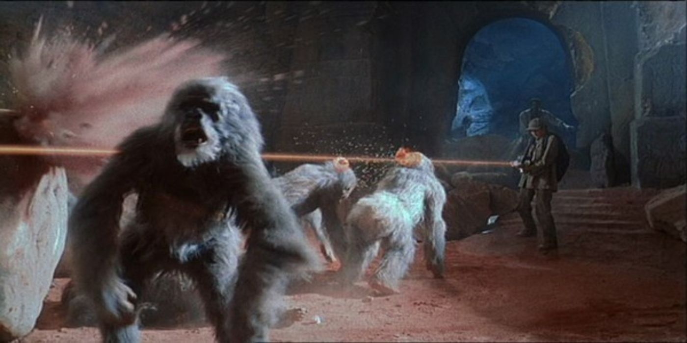 Vīrietis, kurš šauj lāzera staru vairākos nobijies gorillas Kongo