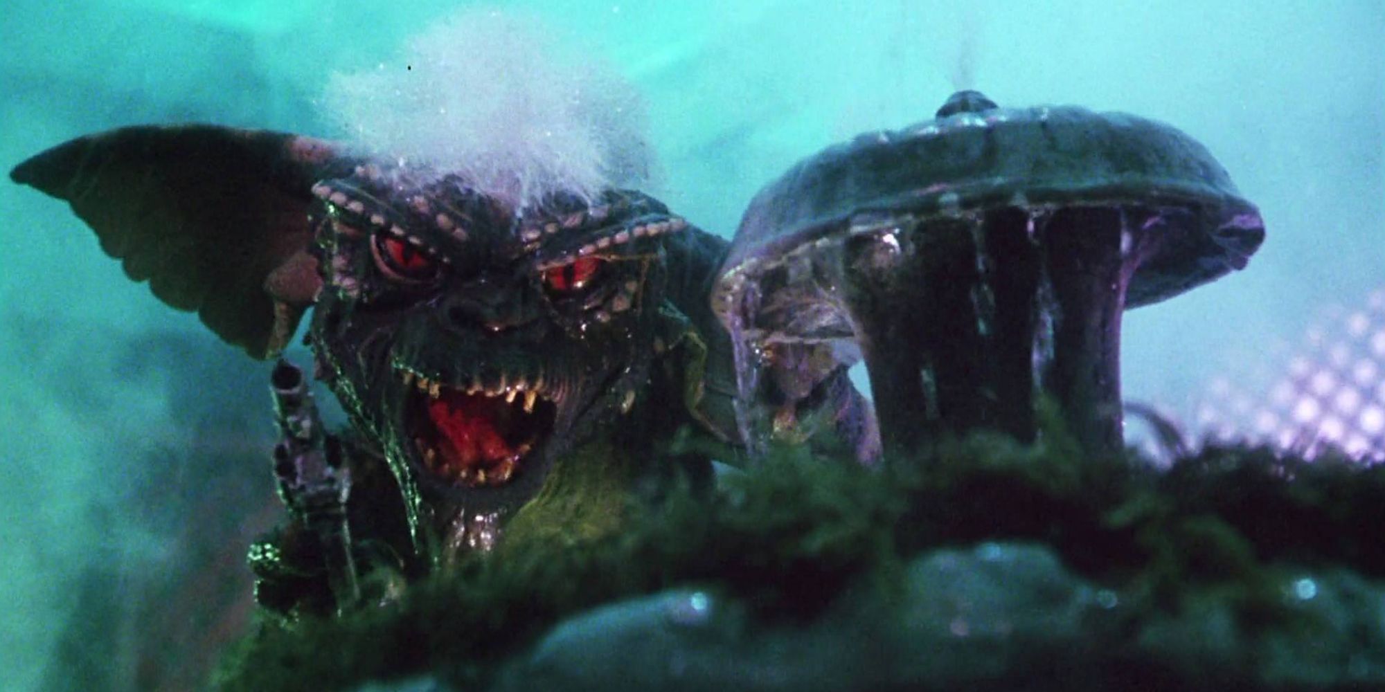 Gremlins - 1984 (1)
