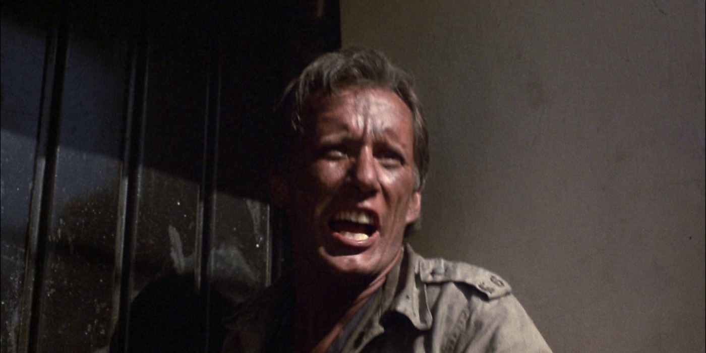 James Woods as Richard Boyle in Salvador.