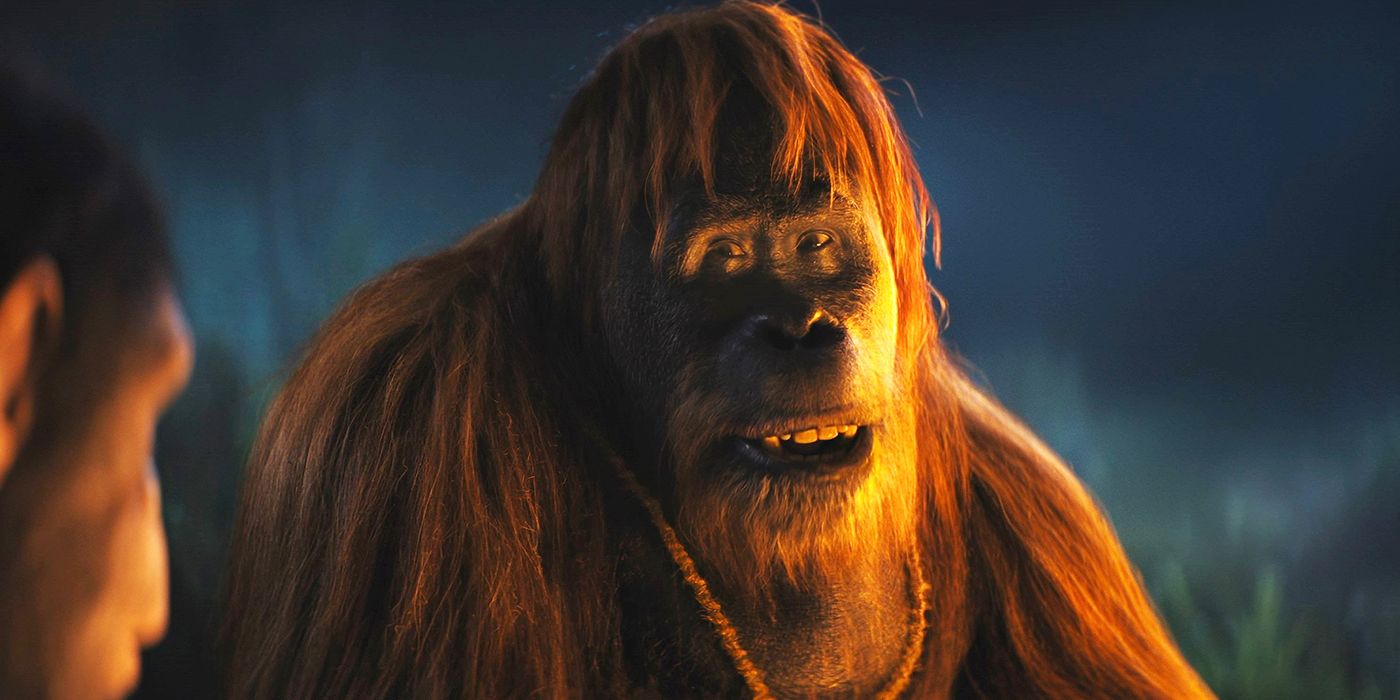 Raka the orangutan smiling and looking to his right, illuminated by firelight. 