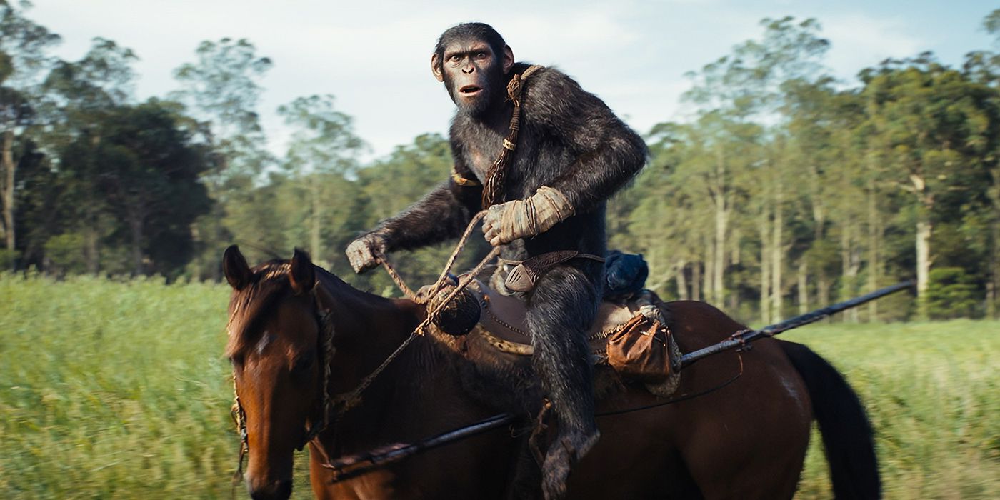 A young ape rides horseback and looks fearfully off-camera with trees in the background