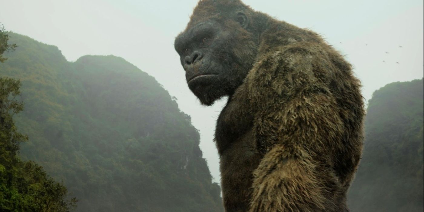 Kong looking to his left in Kong: Skull Island (2017)