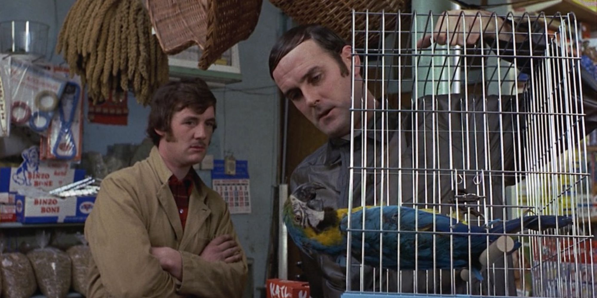 10 funniest monty python quotes ranked