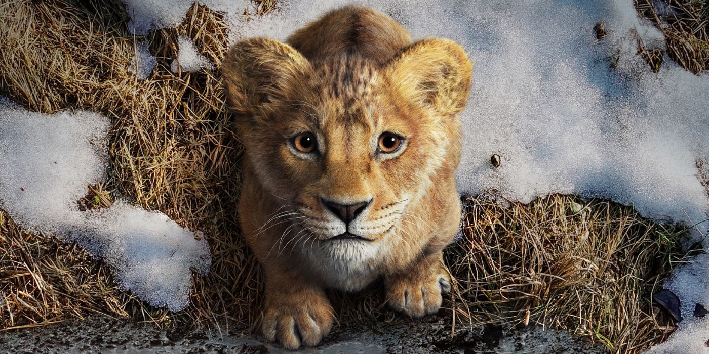 A baby Mufasa on a teaser poster for Mufasa: The Lion King.