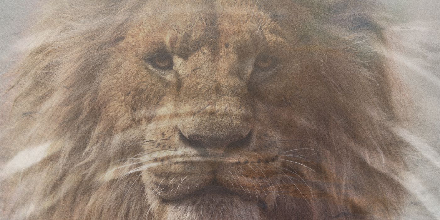 A reflection of adult Mufasa on the poster for Mufasa: The Lion King.