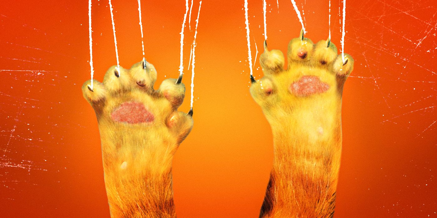 A custom image of cat paws clawing against an orange background
