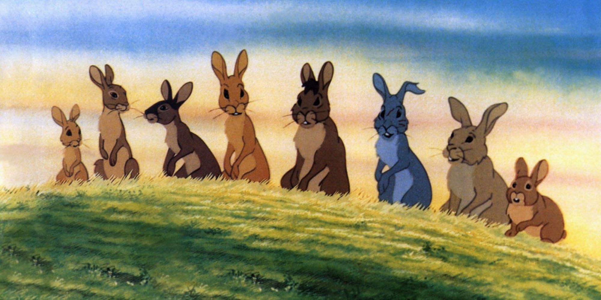 Rabbits in Watership Down