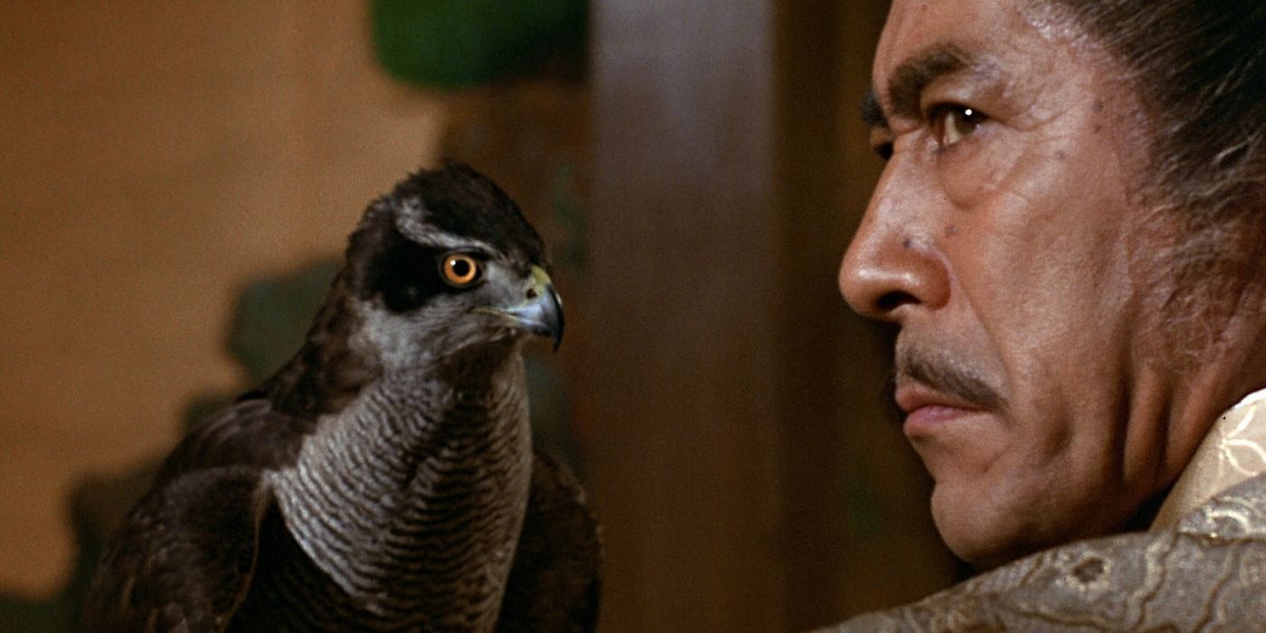 Toranaga (Toshiro Mifune) looking over his left shoulder in a close-up profile and wearing a stern expression with a falcon close to his face in the 1980 Shogun