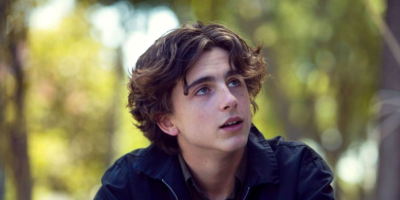 Timothée Chalamet interpreta a Kyle Schaible en 'Lady Bird'