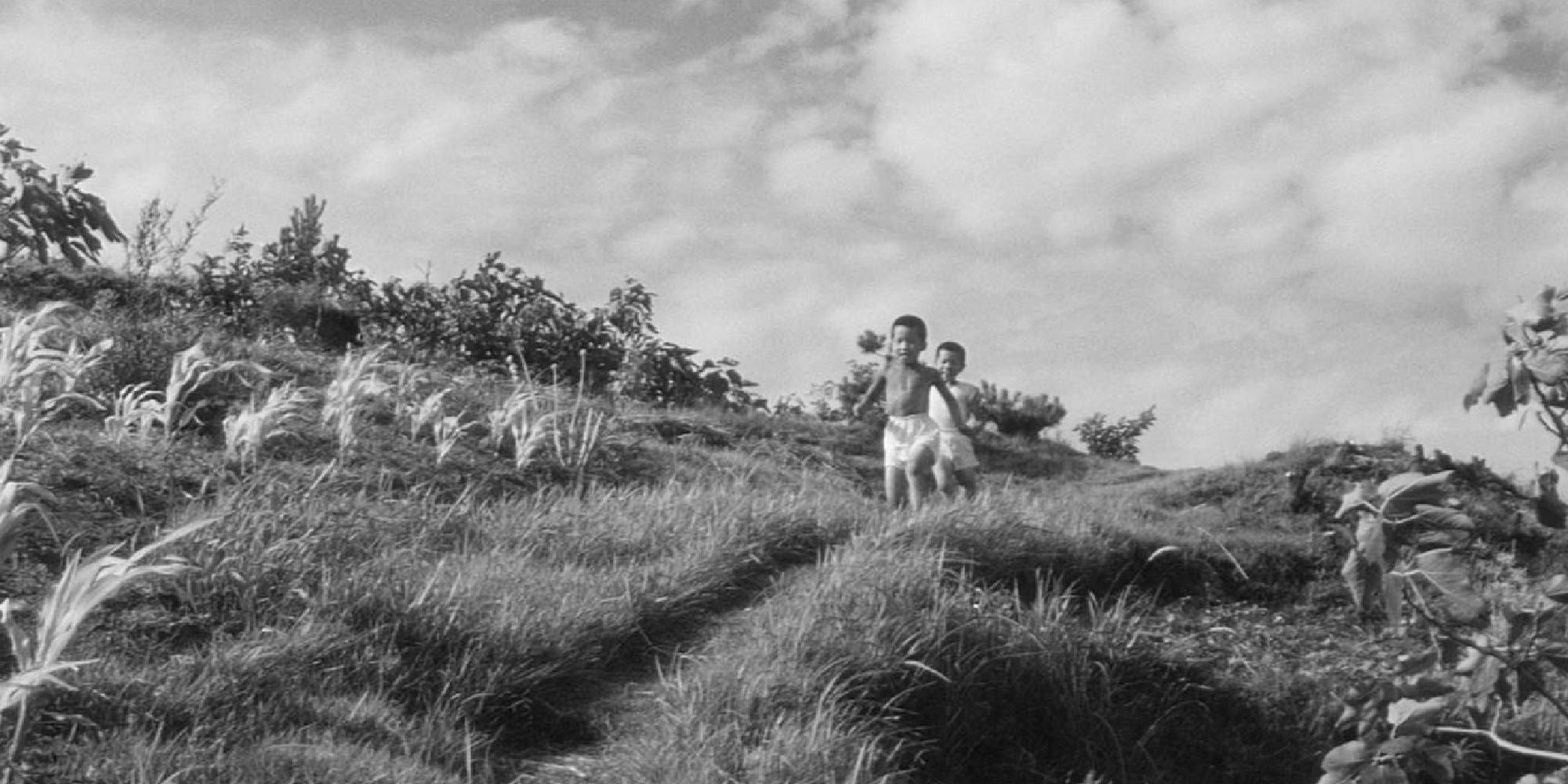 Two kids walking in the country in The Naked Island.