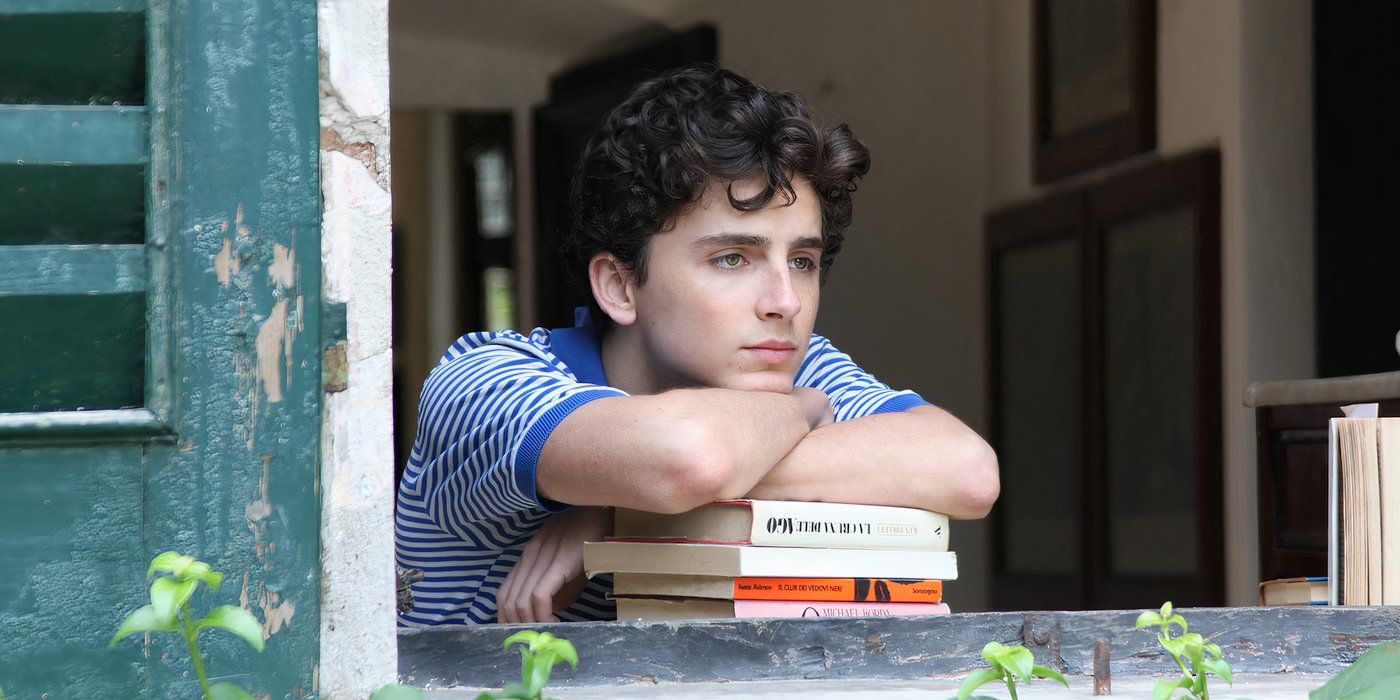 Timothee Chalamet as Elio in Call Me By Your Name