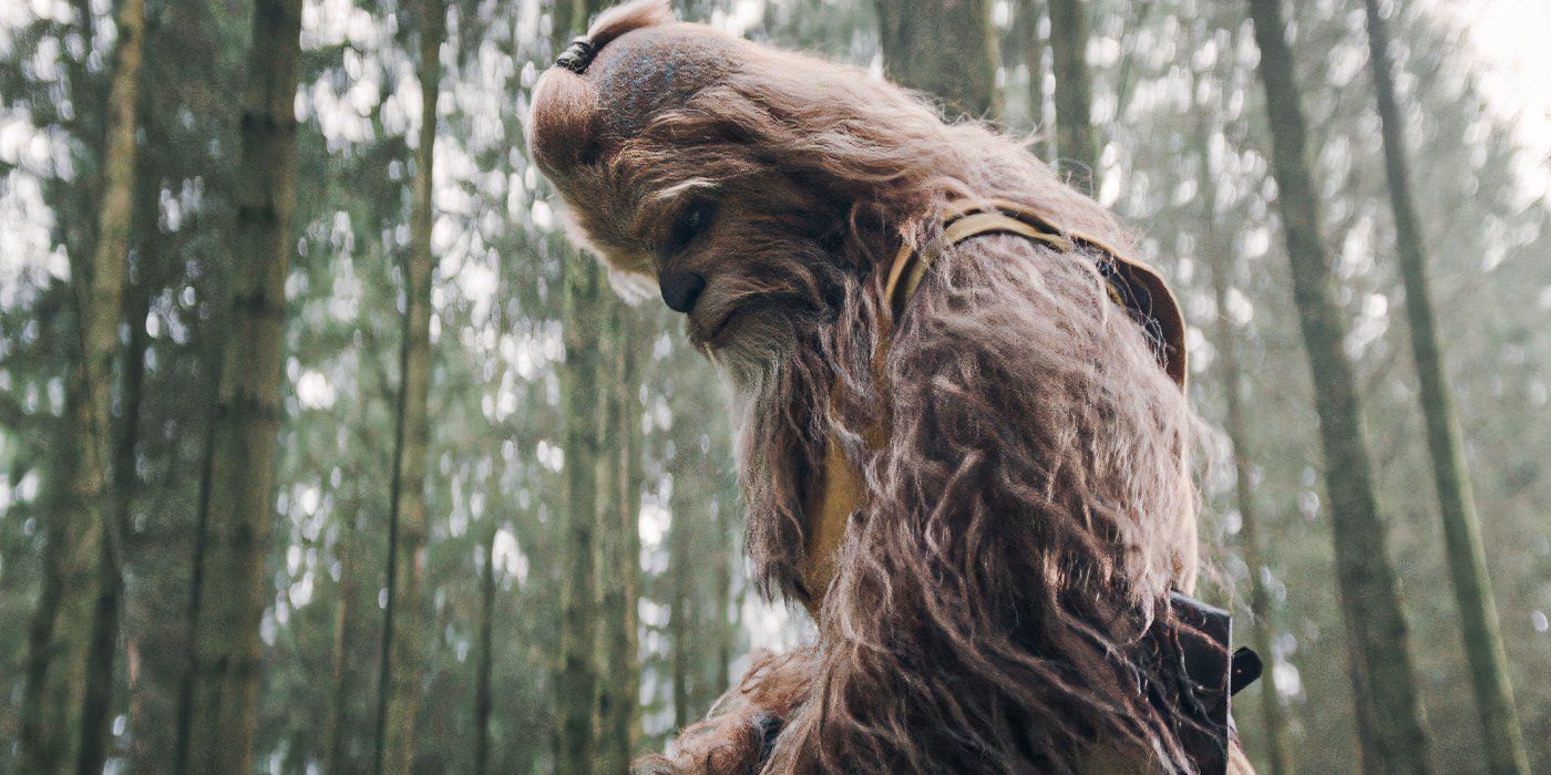A jedi Wookiee walking through the woods in The Acolyte
