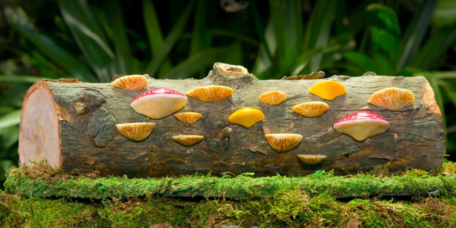 close-up of a log with mushrooms growing out of it - all made of cake - on Netflix's Is It Cake