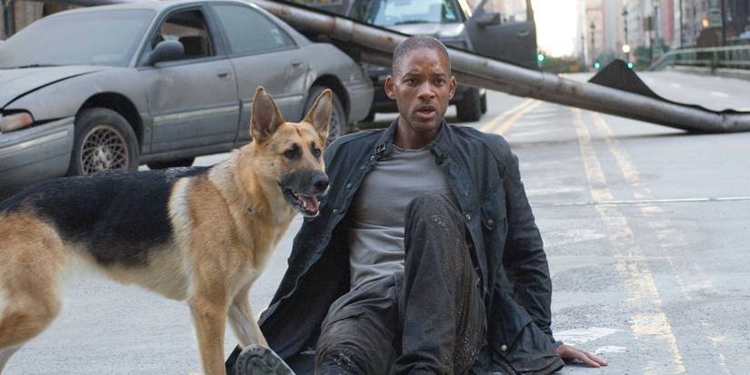 Dr. Robert Neville, played by actor Will Smith, lying on a street with a dog next to him in I Am Legend.