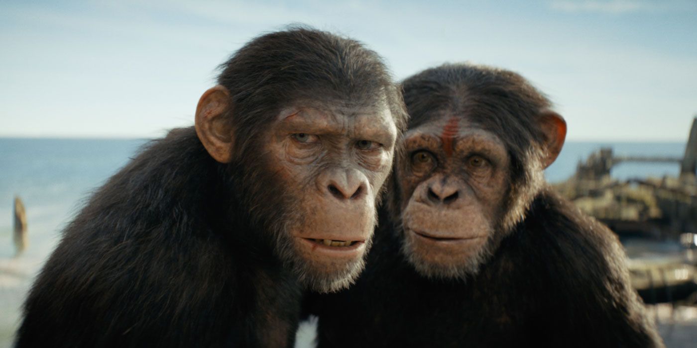 ‘Kingdom of the of the Apes’ Domestic Box Office Debut Roars to Life