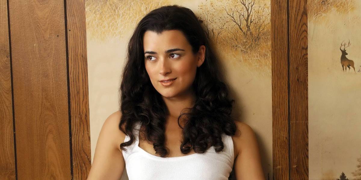 Where Did Ziva Really Go During Her 'NCIS' Exit?