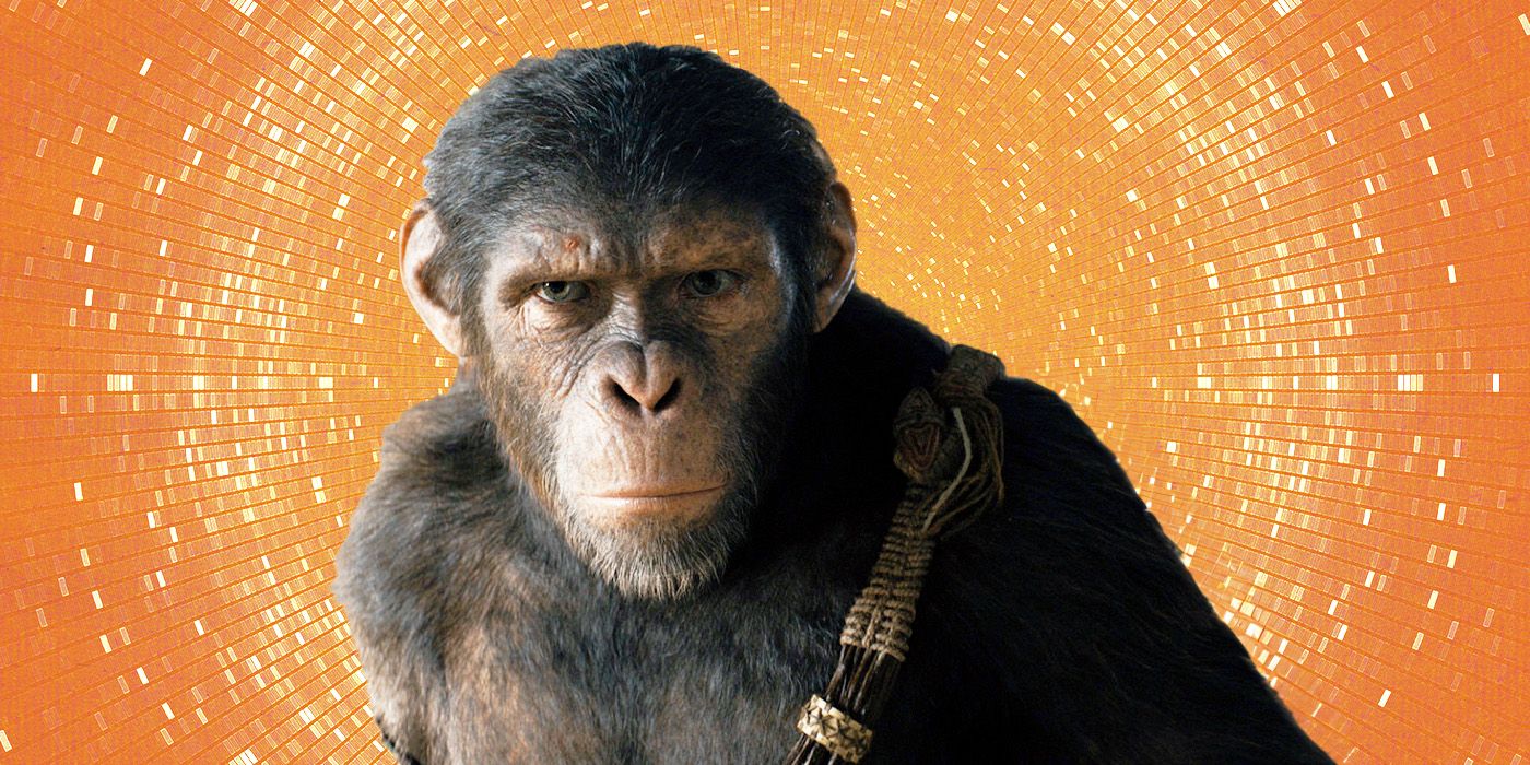 Noah de Kingdom of the Planet of the Apes sobre un fons taronja inspirat en ciència-ficció