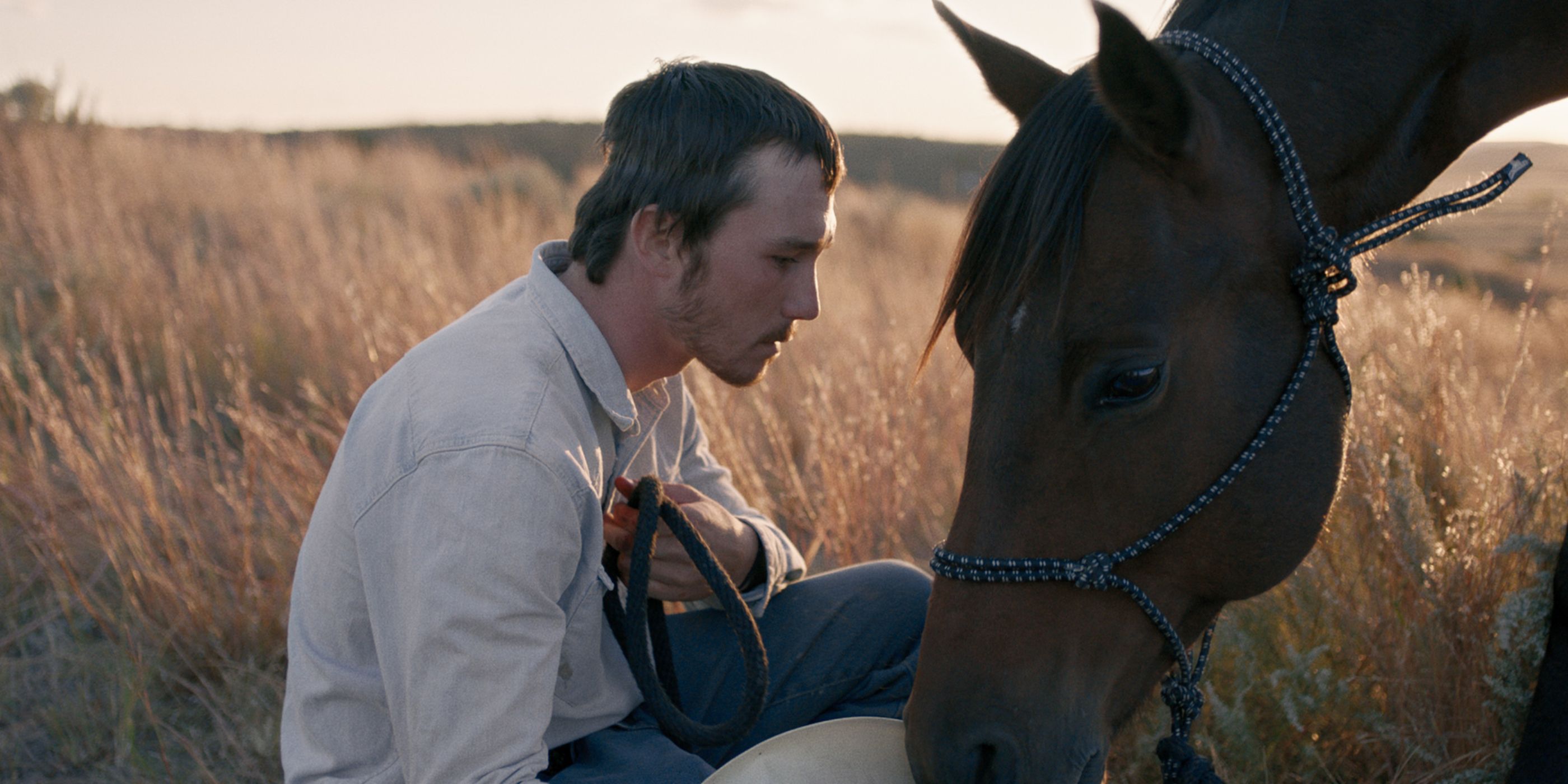 Brady Blackburn (Brady Jandreau), a horse trainer, sits in a field with a horse in 'The Rider' (2017).