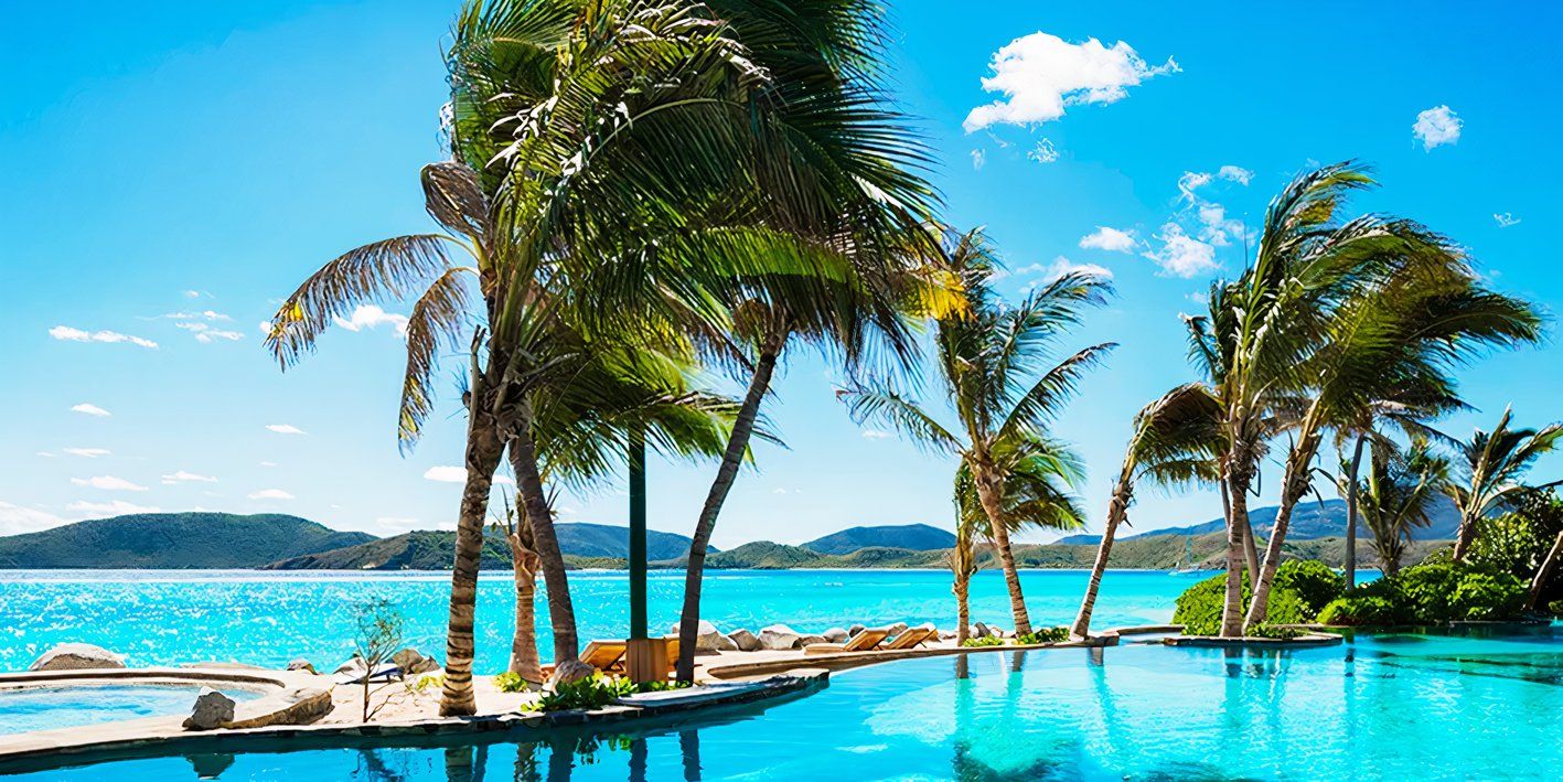 Virgin-Islands-Palm-Trees