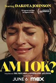 am i ok poster