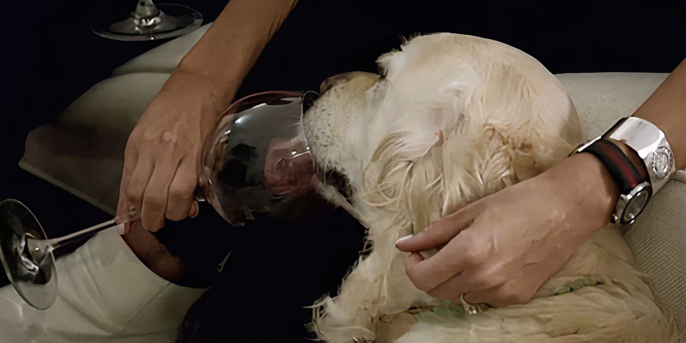 A close-up of Jessica feeding her dog wine in Love is Blind.