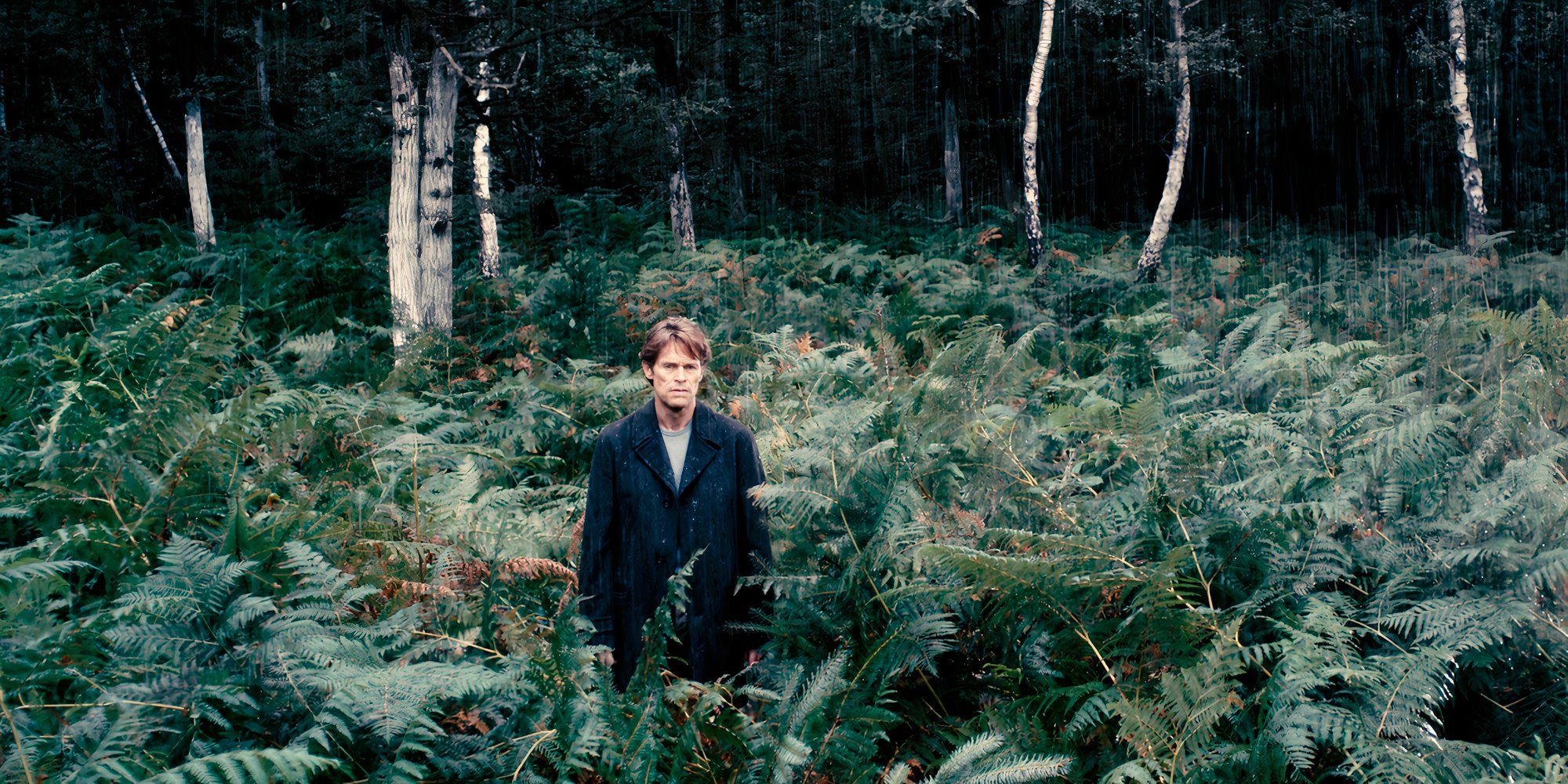 Willem Dafoe in the forest in Antichrist